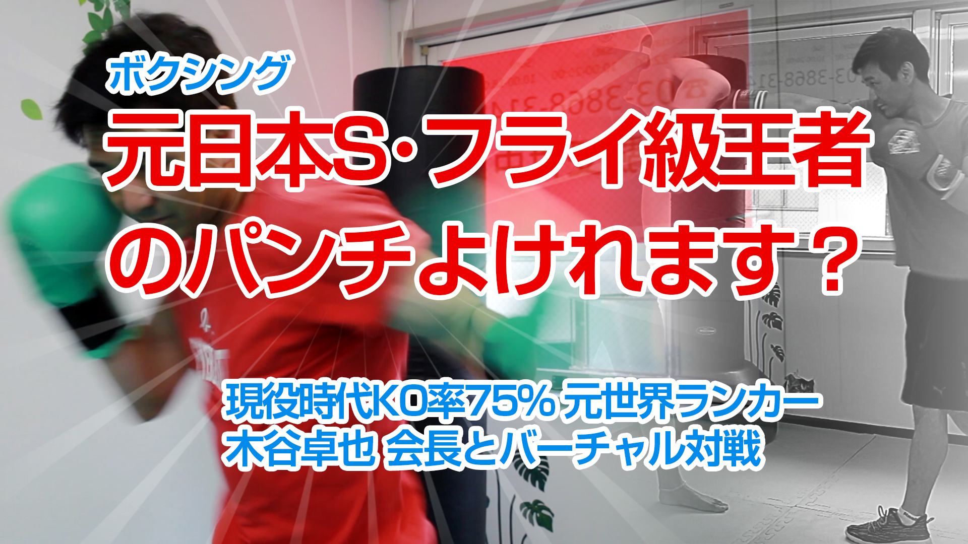 あなたはプロボクサー Ko率75 の元日本s フライ級王者 のパンチよけれますか バーチャルボクシング2 プロレス 格闘技 ボクシングの情報配信 カクトウログ